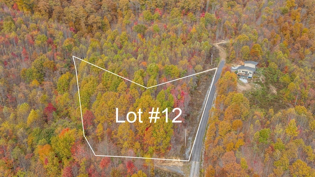 TBD Majestic Dr, Duffield VA, 24244 land for sale