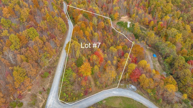 TBD Purple Glory Dr, Duffield VA, 24244 land for sale