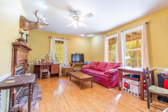 living room featuring ceiling fan and light hardwood / wood-style flooring