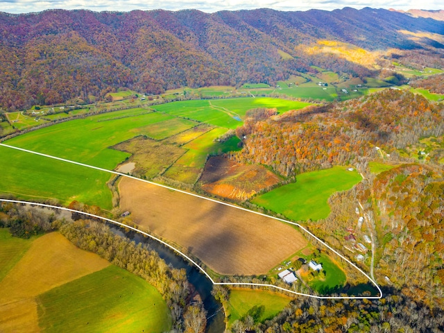 birds eye view of property featuring a mountain view