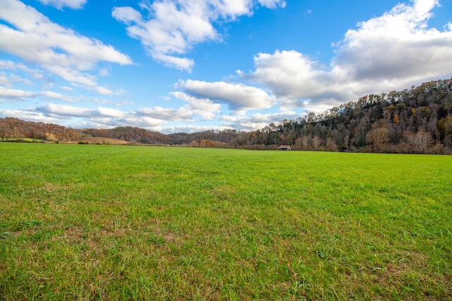 view of yard with a rural view