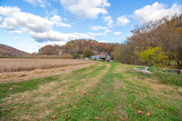 view of yard with a rural view