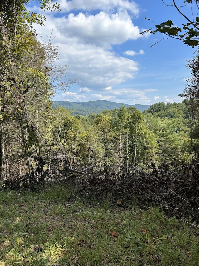 Listing photo 2 for LOT6 Laurel Highlands Rd, Roan Mountain TN 37687