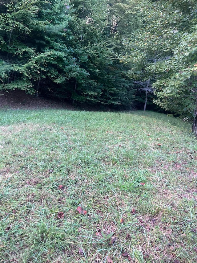 Listing photo 3 for LOT6 Laurel Highlands Rd, Roan Mountain TN 37687