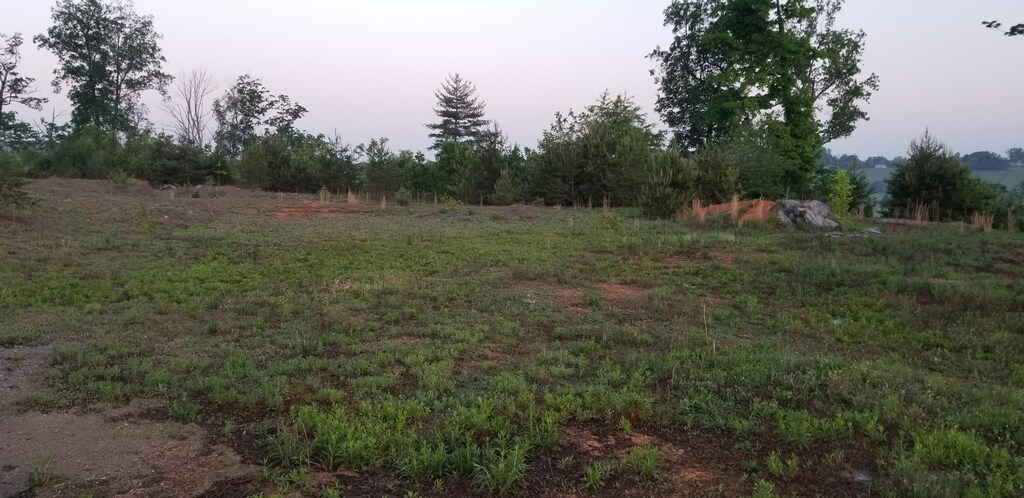 TBD Bristol Hwy, Johnson City, TN 37601 - photo 2