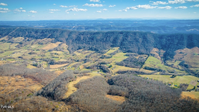 birds eye view of property featuring a mountain view