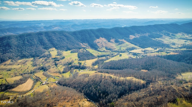 view of mountain feature