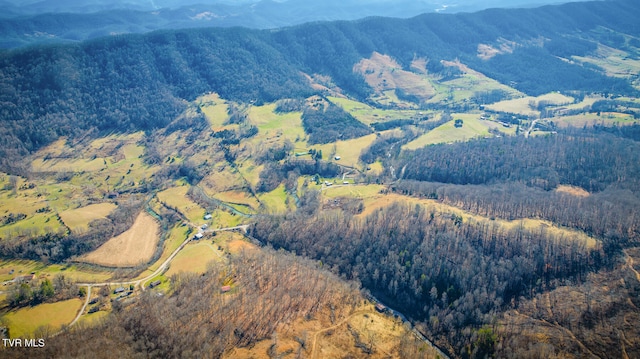 view of mountain view