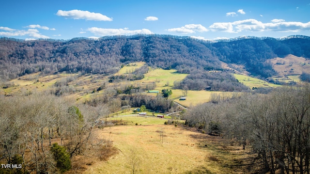 view of mountain view