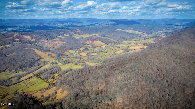 view of mountain feature