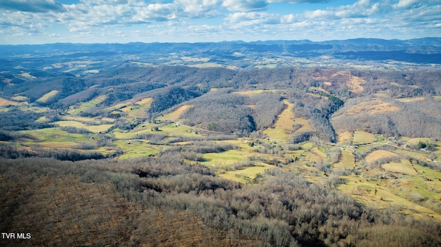 view of mountain feature