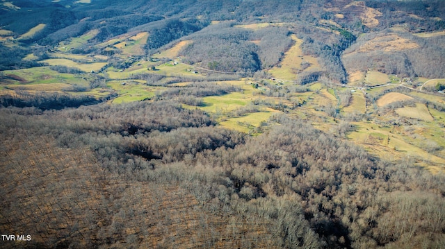 view of mountain feature