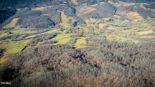 view of bird's eye view