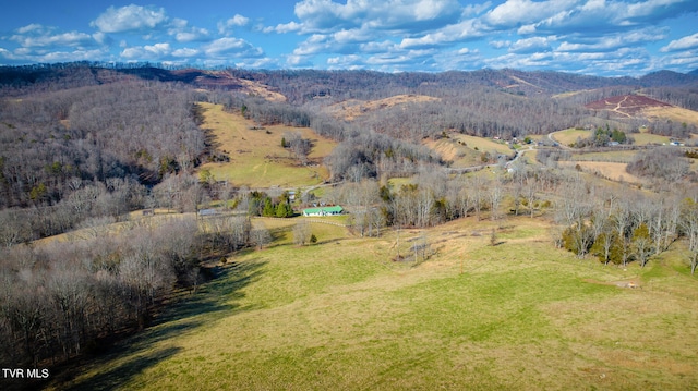 bird's eye view featuring a mountain view