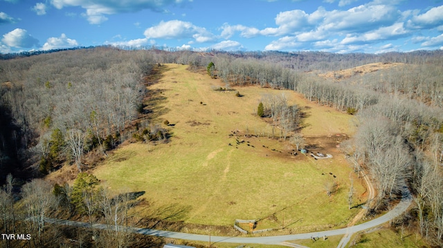 view of drone / aerial view