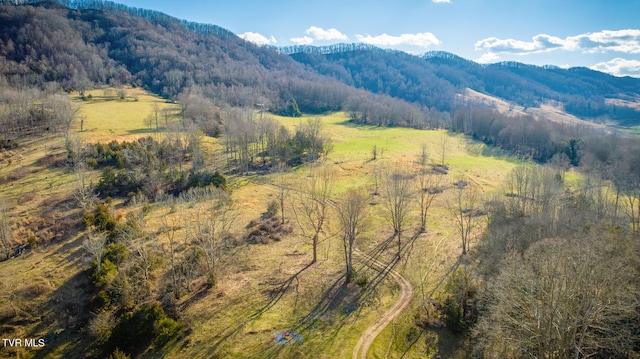 mountain view with a rural view