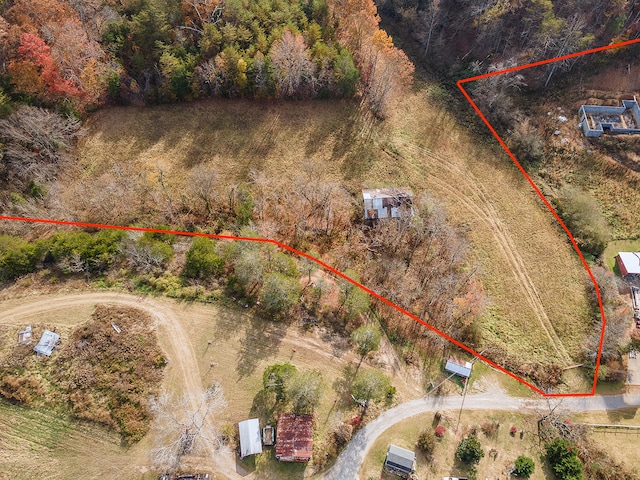 Listing photo 3 for TBD Sinking Creek Rd, Parrottsville TN 37843