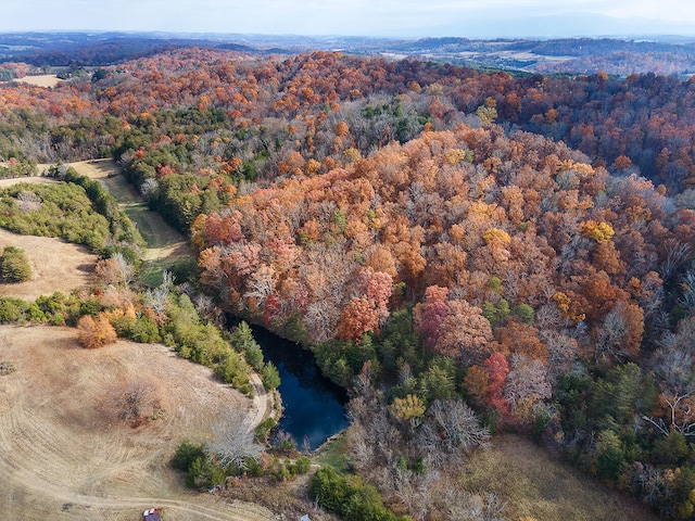 TBD Sinking Creek Rd, Parrottsville TN, 37843 land for sale