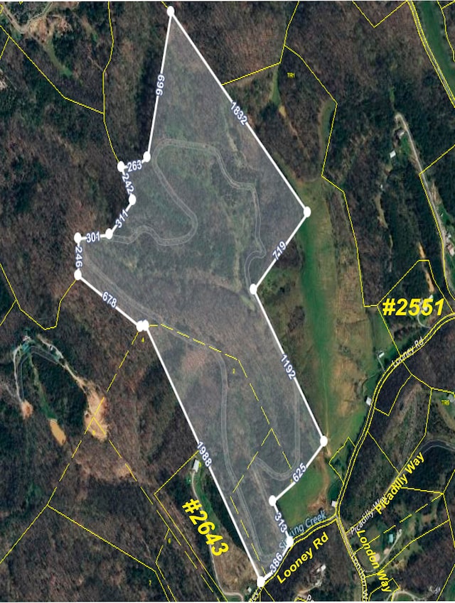 0000 Looney Rd, Off, Parrottsville TN, 37843 land for sale