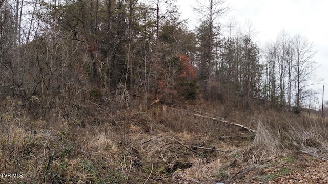 0000 Looney Rd, Off, Parrottsville, TN 37843 - photo 10
