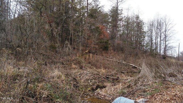 0000 Looney Rd, Off, Parrottsville, TN 37843 - photo 11