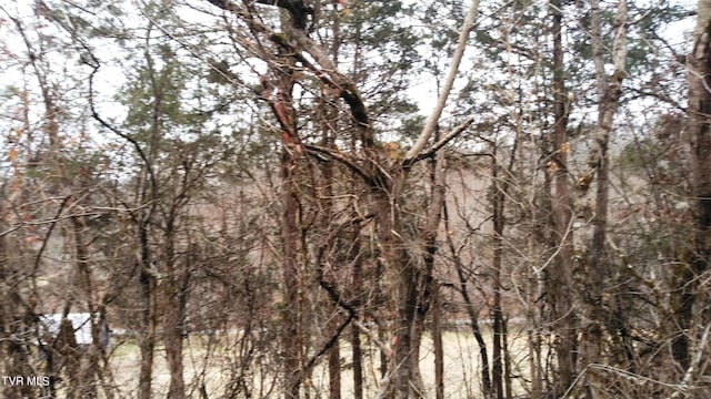 0000 Looney Rd, Off, Parrottsville, TN 37843 - photo 12
