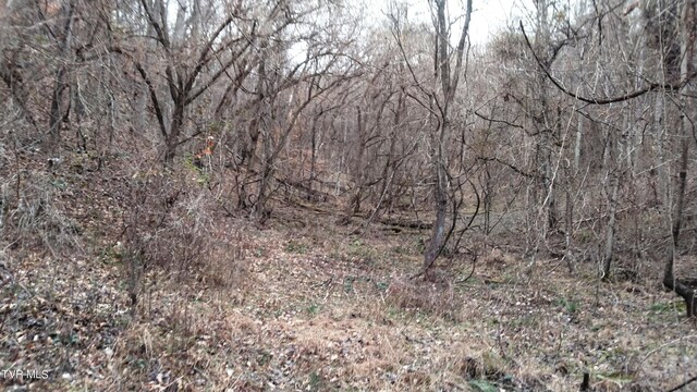 0000 Looney Rd, Off, Parrottsville, TN 37843 - photo 13