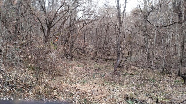 0000 Looney Rd, Off, Parrottsville, TN 37843 - photo 14