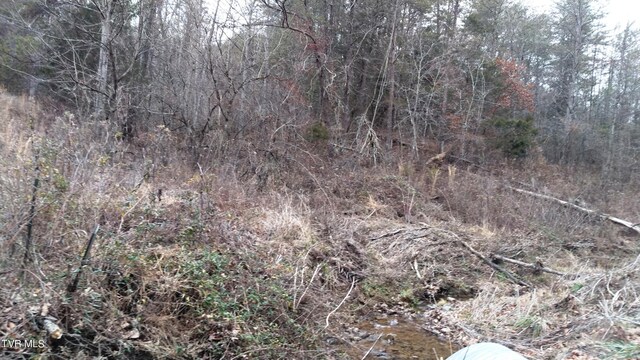 0000 Looney Rd, Off, Parrottsville, TN 37843 - photo 15