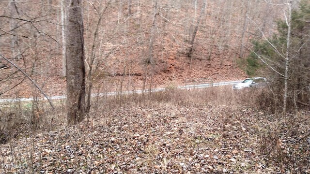 0000 Looney Rd, Off, Parrottsville, TN 37843 - photo 16