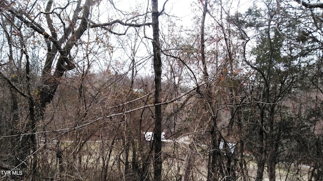 0000 Looney Rd, Off, Parrottsville, TN 37843 - photo 17