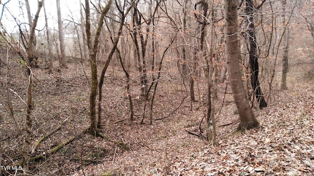 0000 Looney Rd, Off, Parrottsville, TN 37843 - photo 18