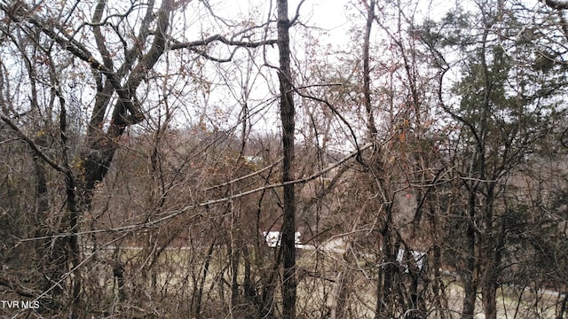 0000 Looney Rd, Off, Parrottsville, TN 37843 - photo 19