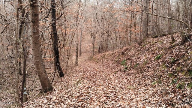 0000 Looney Rd, Off, Parrottsville, TN 37843 - photo 9