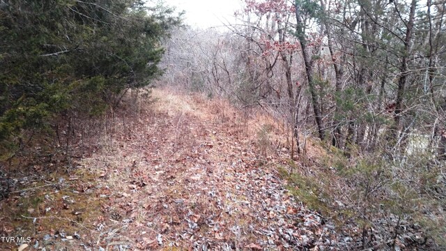 0000 Looney Rd, Off, Parrottsville, TN 37843 - photo 8