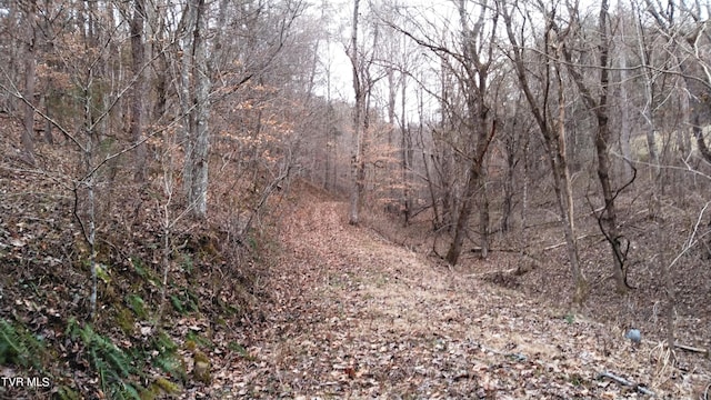 0000 Looney Rd, Off, Parrottsville, TN 37843 - photo 7