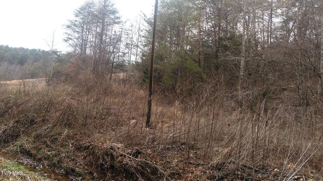 0000 Looney Rd, Off, Parrottsville, TN 37843 - photo 6