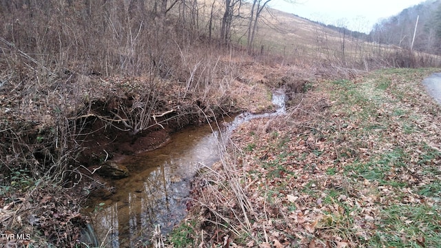 0000 Looney Rd, Off, Parrottsville, TN 37843 - photo 4