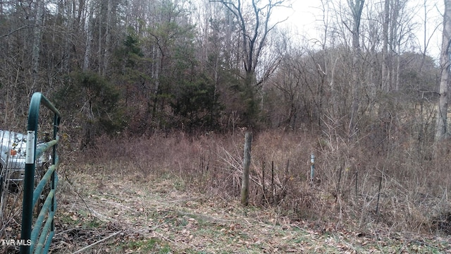 Listing photo 2 for 0000 Looney Rd, Off, Parrottsville TN 37843