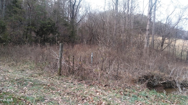 Listing photo 3 for 0000 Looney Rd, Off, Parrottsville TN 37843