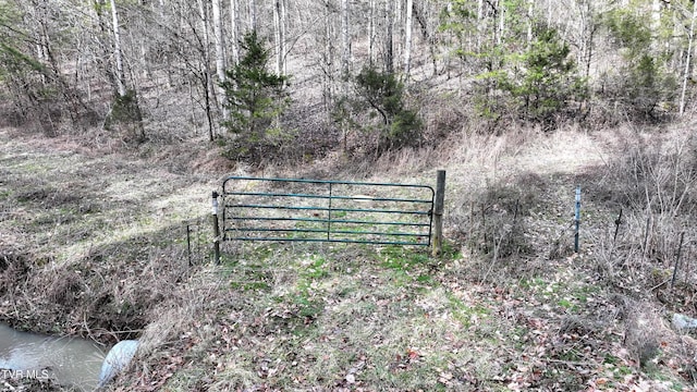 0000 Looney Rd, Off, Parrottsville, TN 37843 - photo 20