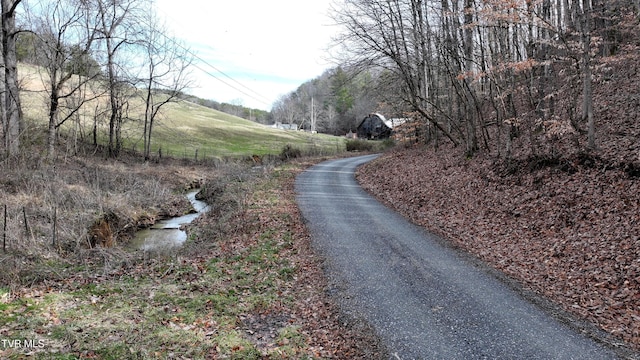 0000 Looney Rd, Off, Parrottsville, TN 37843 - photo 21
