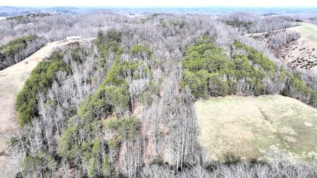 0000 Looney Rd, Off, Parrottsville, TN 37843 - photo 23