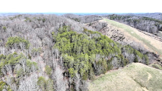 0000 Looney Rd, Off, Parrottsville, TN 37843 - photo 24