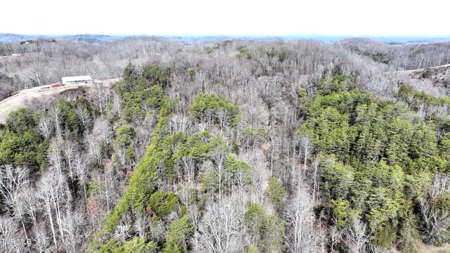 0000 Looney Rd, Off, Parrottsville, TN 37843 - photo 26