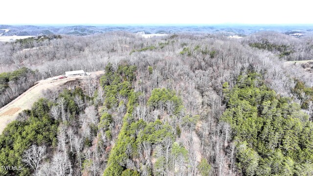 0000 Looney Rd, Off, Parrottsville, TN 37843 - photo 25