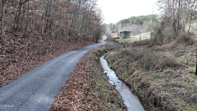 0000 Looney Rd, Off, Parrottsville, TN 37843 - photo 22