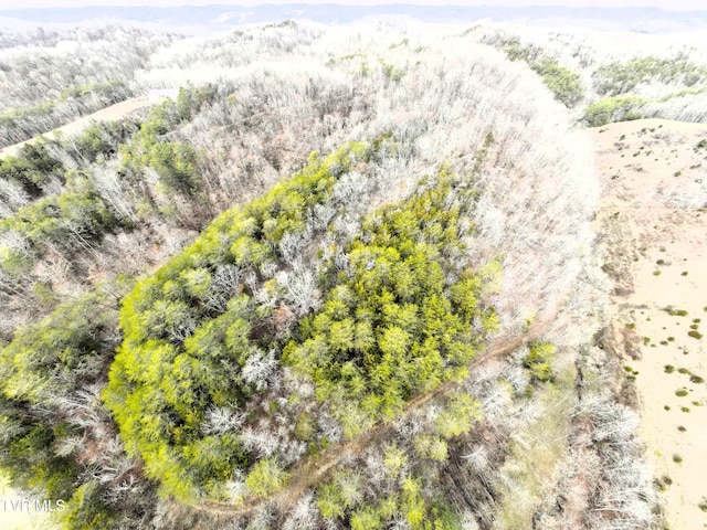 0000 Looney Rd, Off, Parrottsville, TN 37843 - photo 27