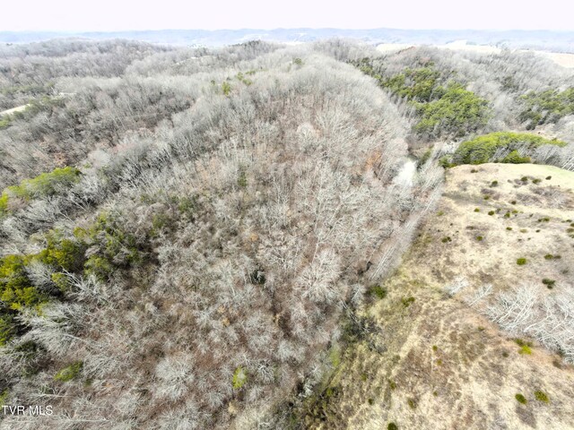 0000 Looney Rd, Off, Parrottsville, TN 37843 - photo 29