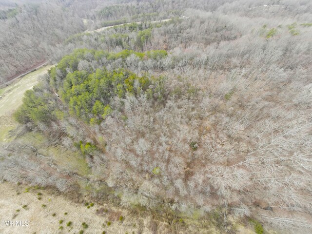 0000 Looney Rd, Off, Parrottsville, TN 37843 - photo 30